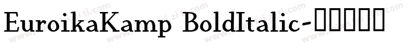 EuroikaKamp BoldItalic字体转换